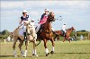 UKPA  NC Sat_1221